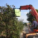  Jardinería Costa poda con maquina elevadora